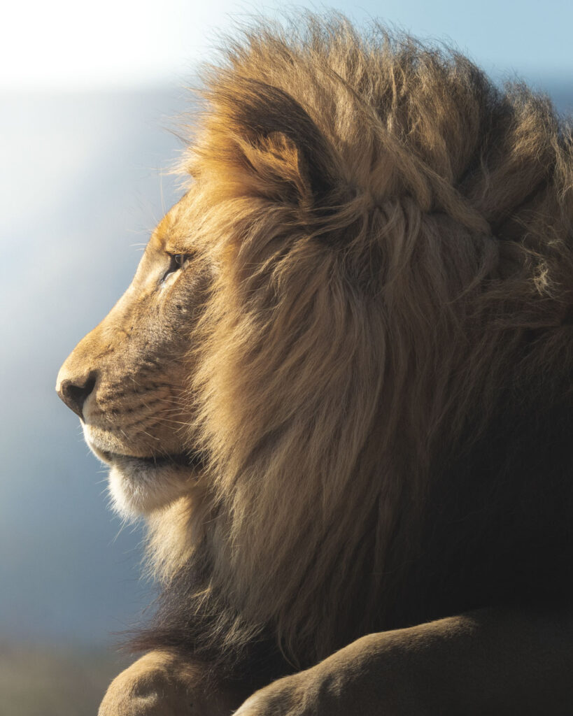 suedafrika-3-819×1024