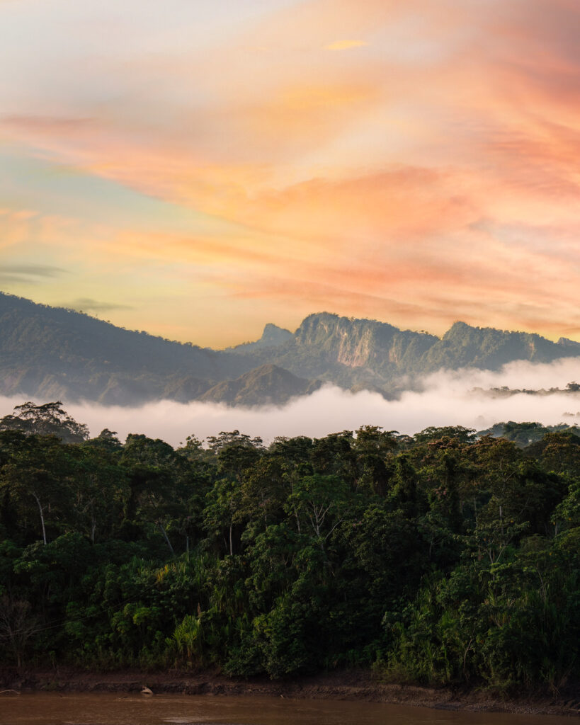 DAD06492-Bearbeitet-819×1024