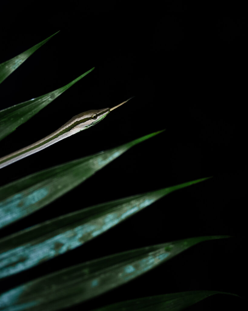 DSC04508-Bearbeitet-Bearbeitet-Bearbeitet-2-819×1024