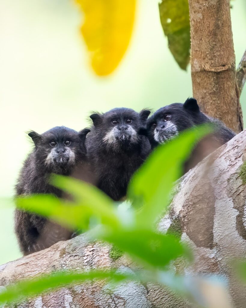 DSC07680-Bearbeitet-Bearbeitet-Bearbeitet-819×1024