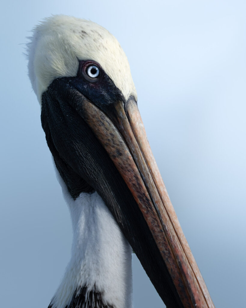 DSC07688-Bearbeitet-819×1024