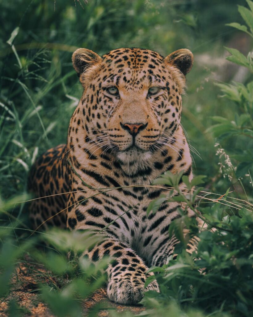 DSC09853-Bearbeitet-2-819×1024