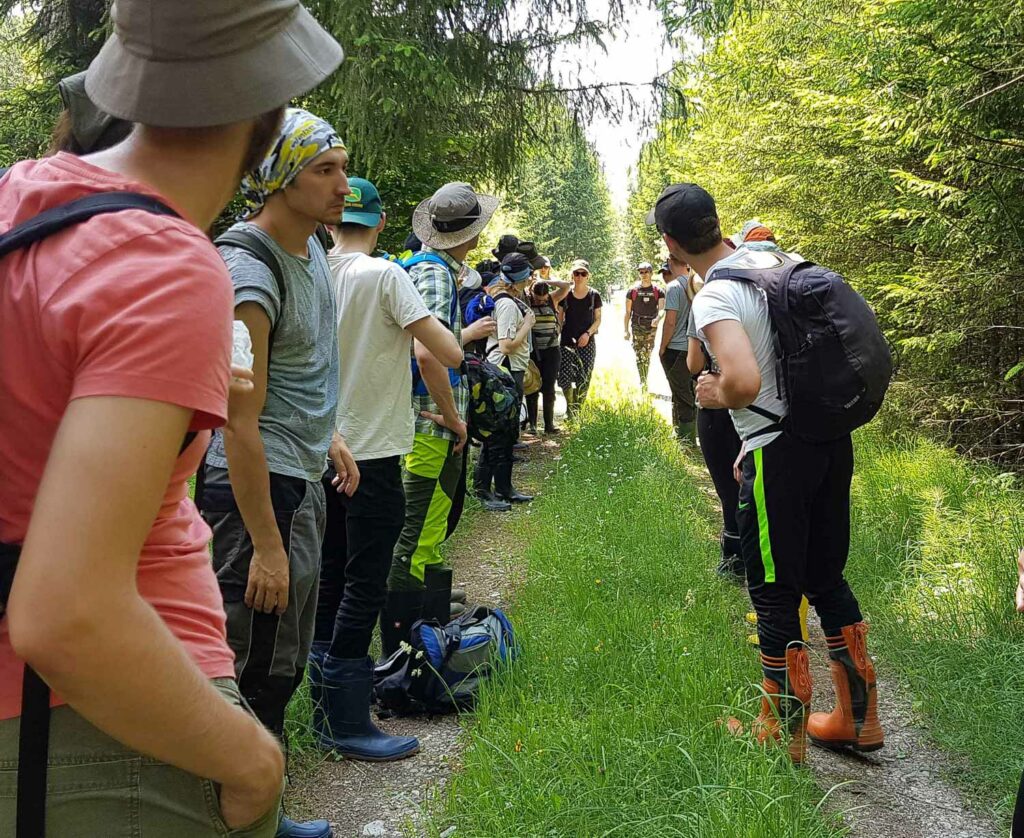 alpine-ecosystem-4-1024×838