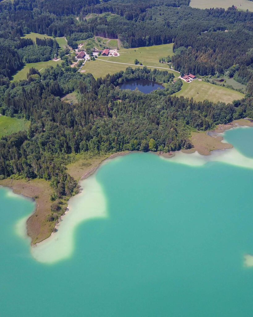 alpine-ecosystem-7-819×1024