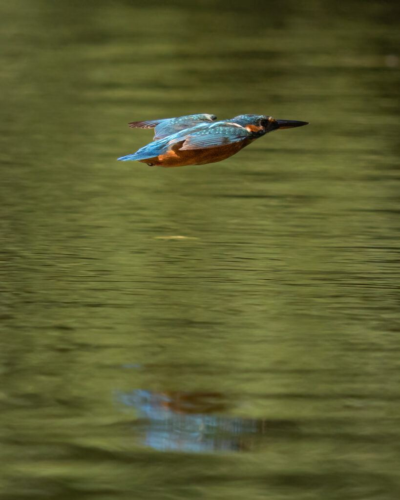 germany-12-819×1024