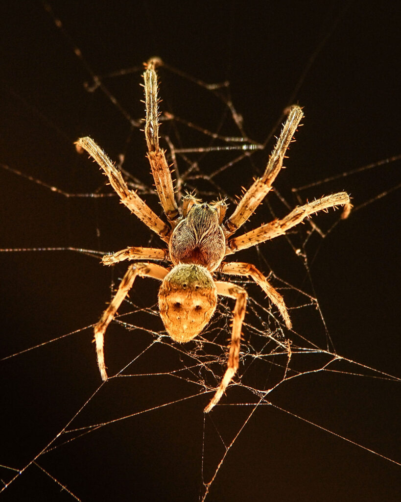 germany-17-819×1024