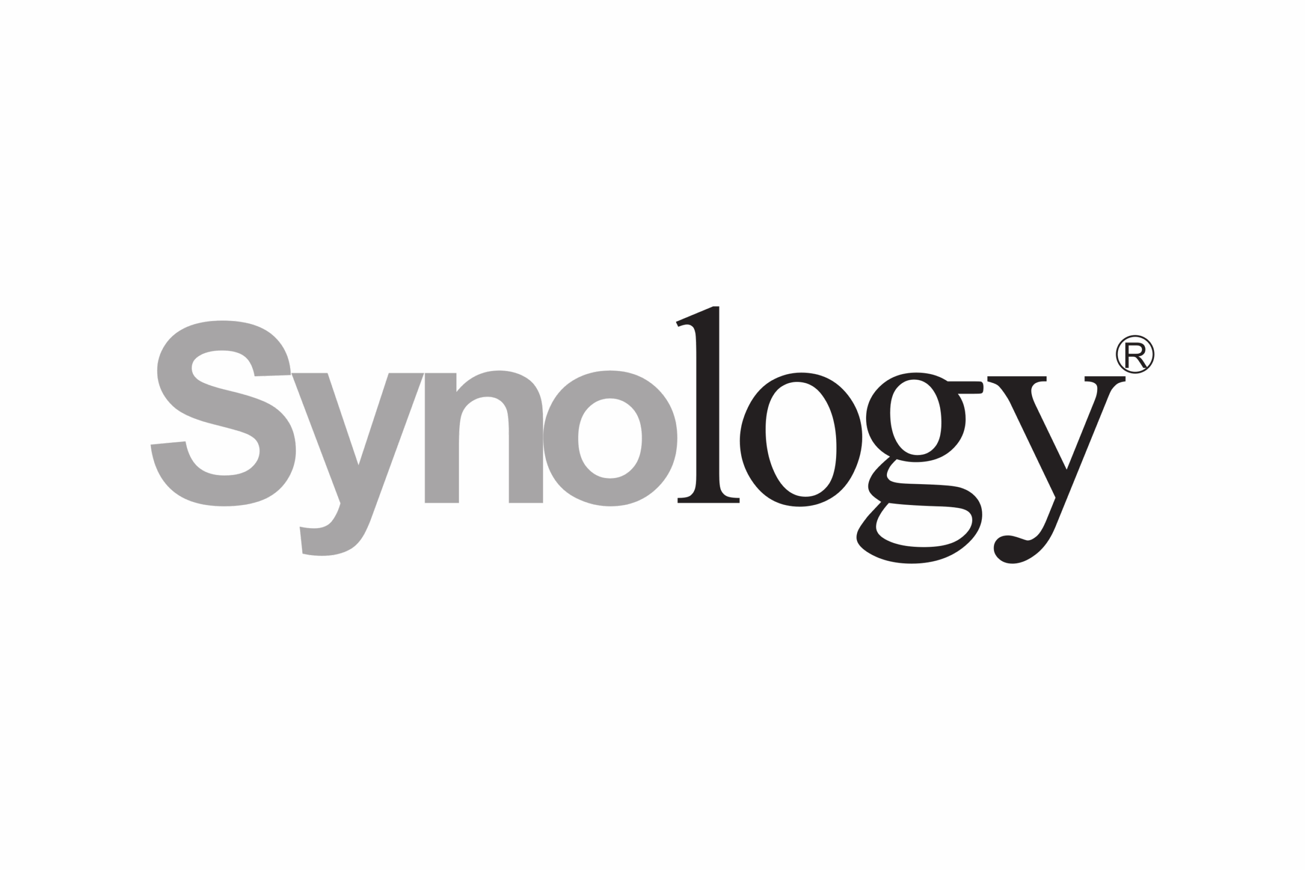 Synology_Inc.-Logo.wine
