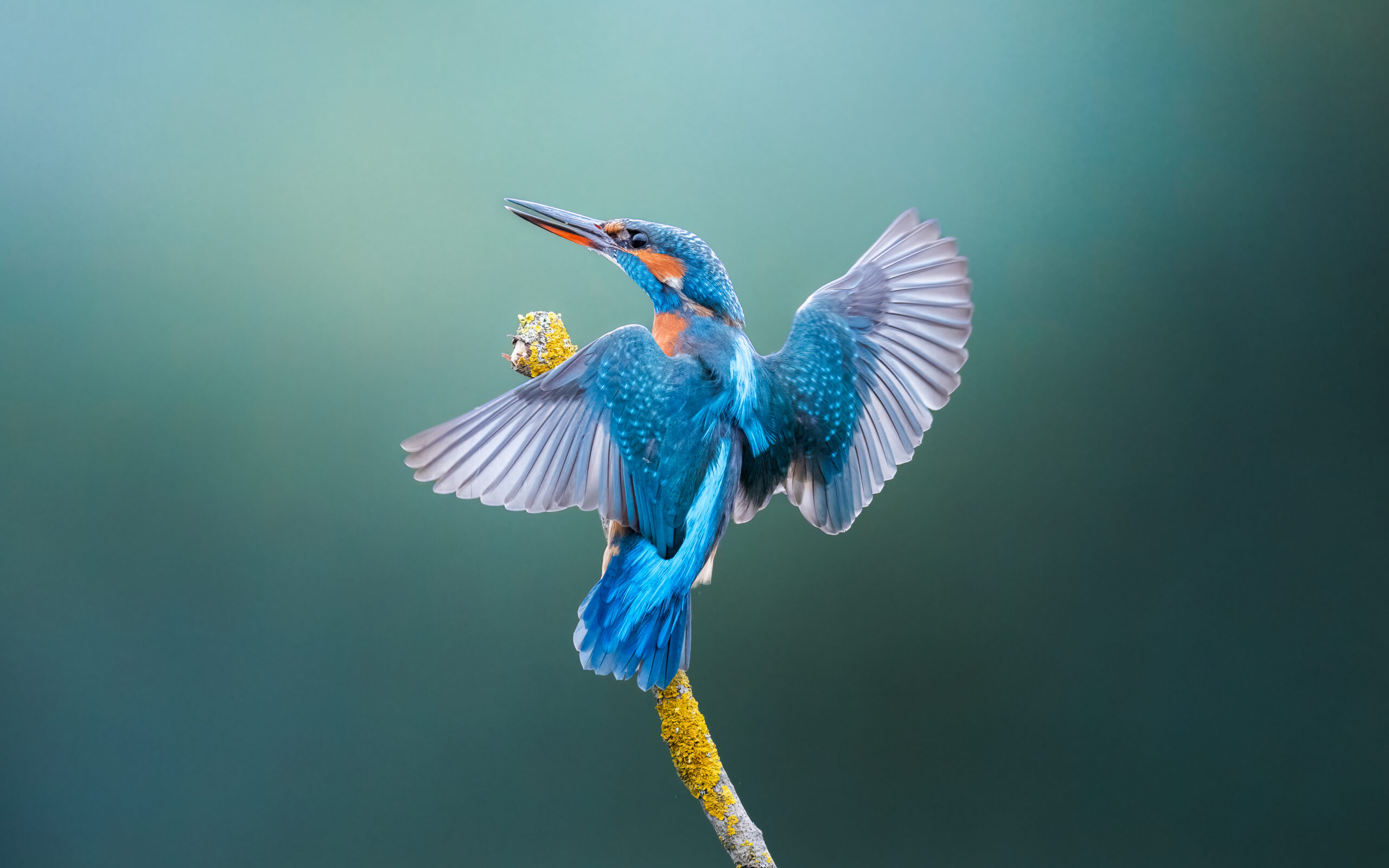 A1201522-Bearbeitet-2-Bearbeitet