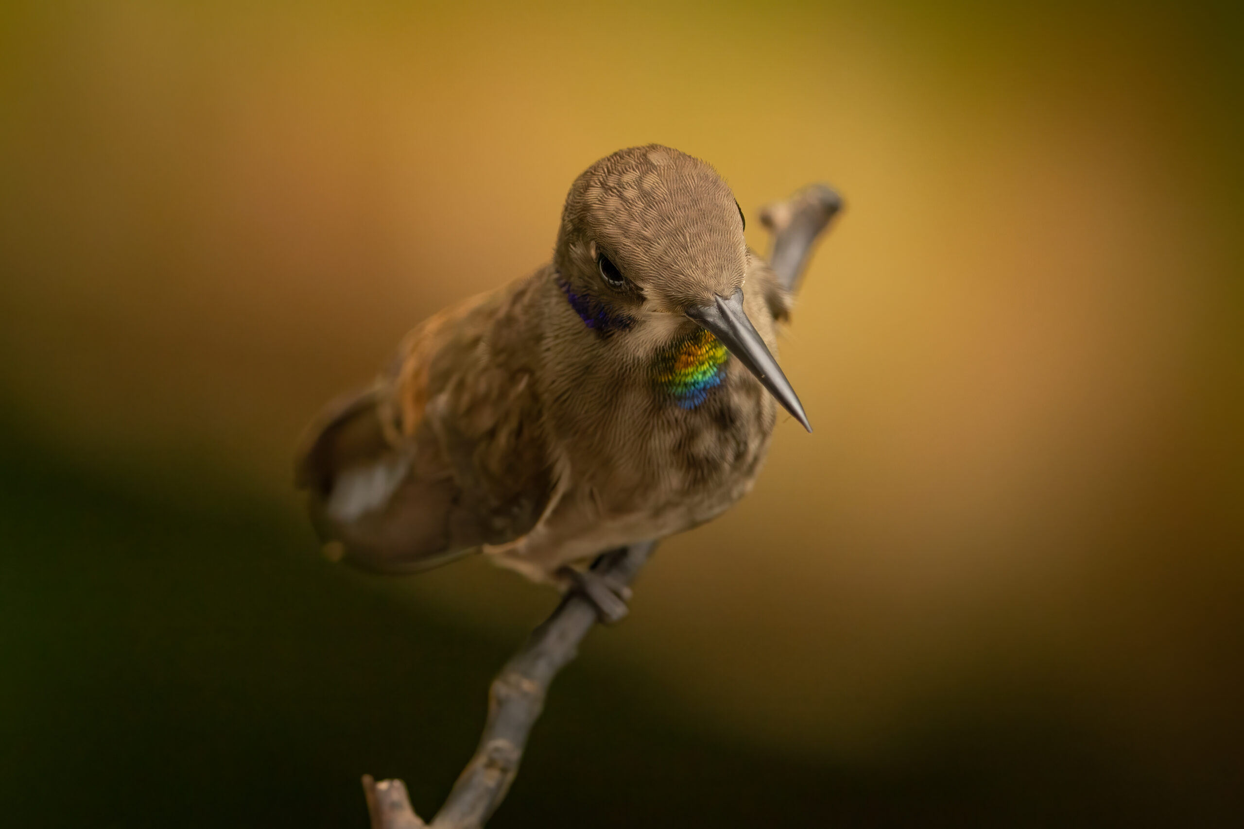 DAC09487-Bearbeitet-Bearbeitet-3