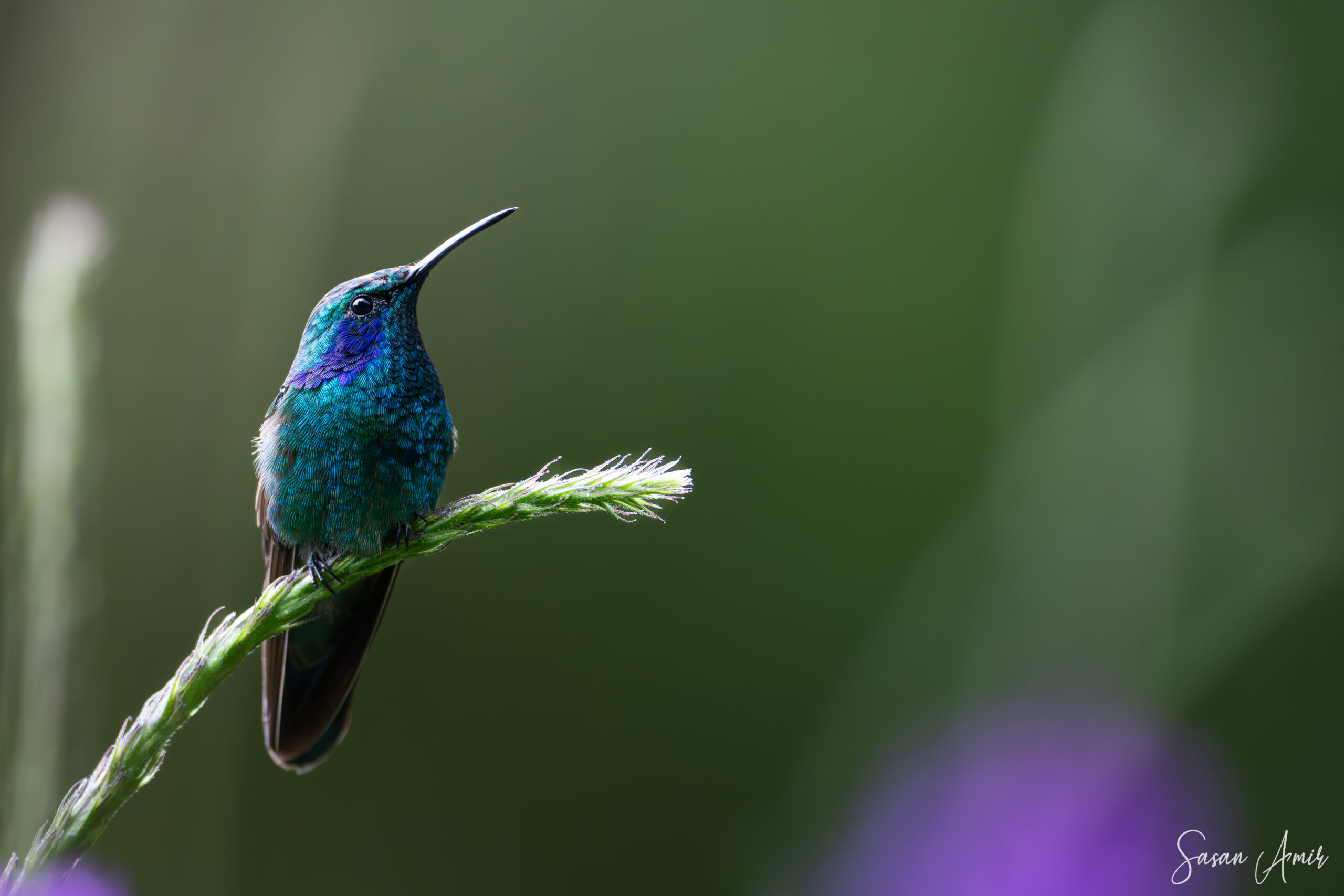 SA105232-Verbessert-RR