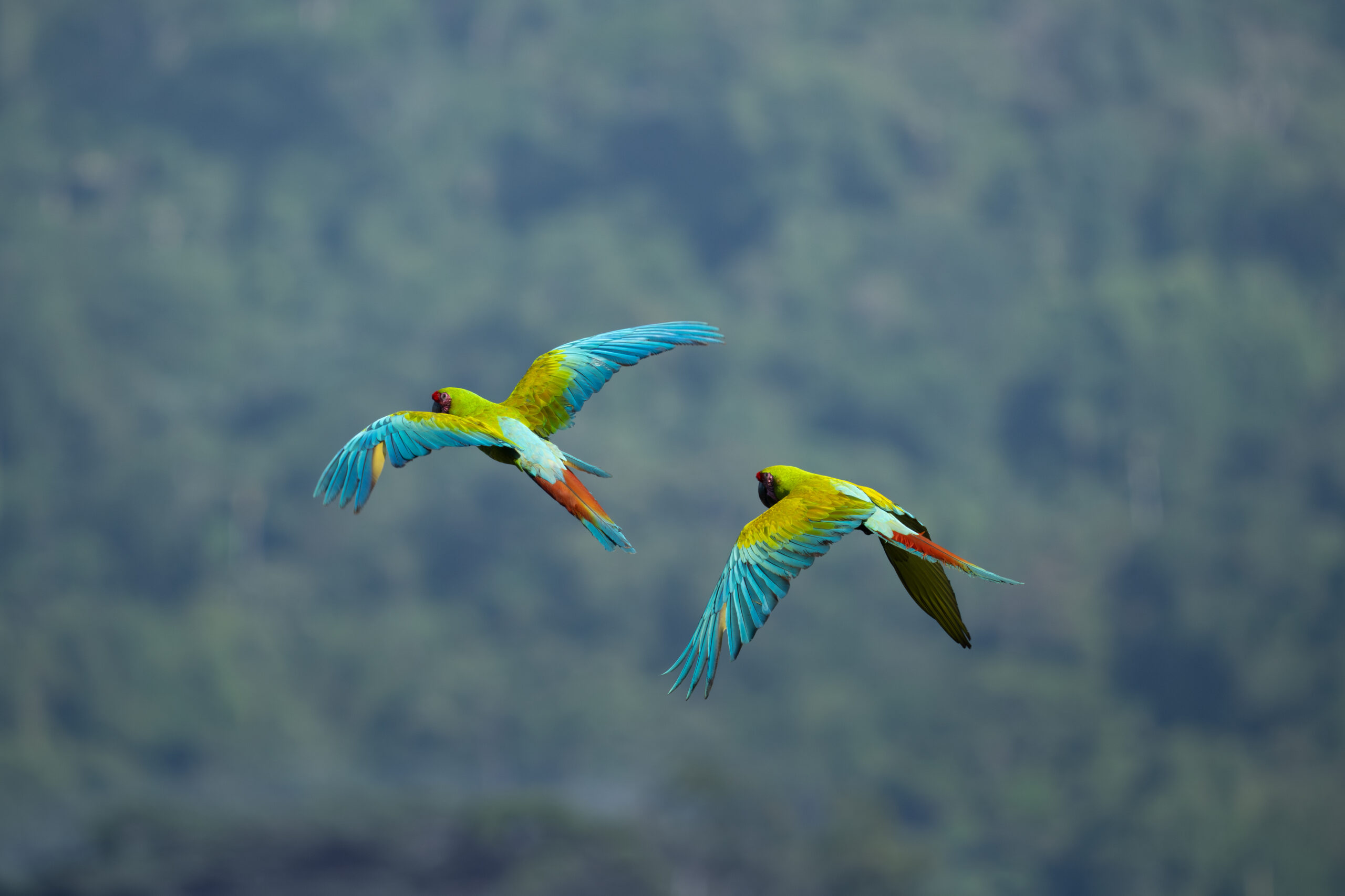 Costa Rica